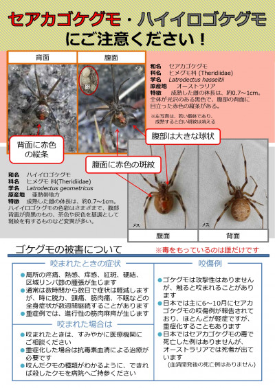 セアカゴケグモ等注意喚起用リーフレット_page-0001