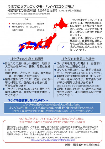 セアカゴケグモ等注意喚起用リーフレット_page-0002