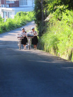 IMG_0809
