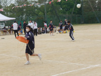 DSC06490