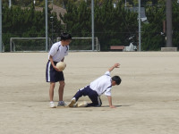 DSC06530
