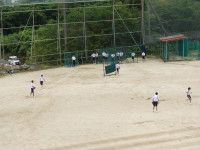 DSC06781