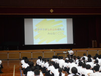 DSC07088
