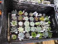 DSCN0136