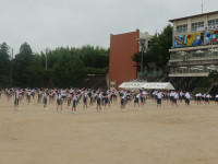 DSC07850