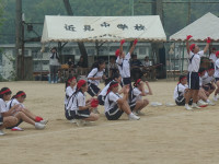 DSC07900
