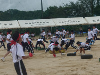 DSC07926
