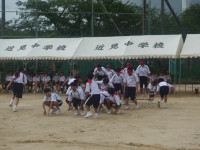 DSC07951