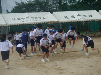 DSC07953
