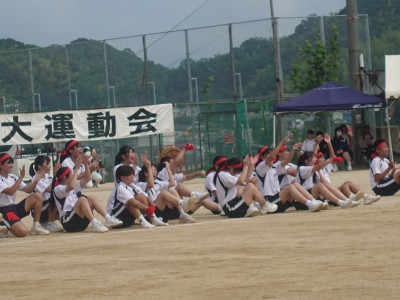 DSC08187