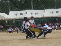 DSC08208